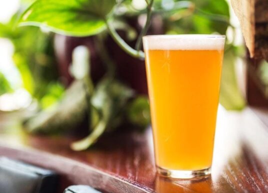 Hazy IPA – novo najomiljenije pivo