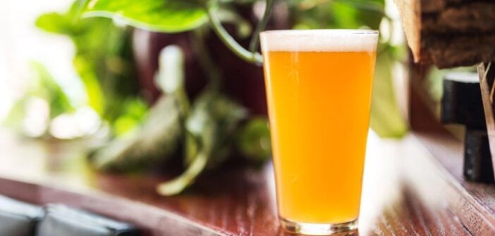 Hazy IPA – novo najomiljenije pivo